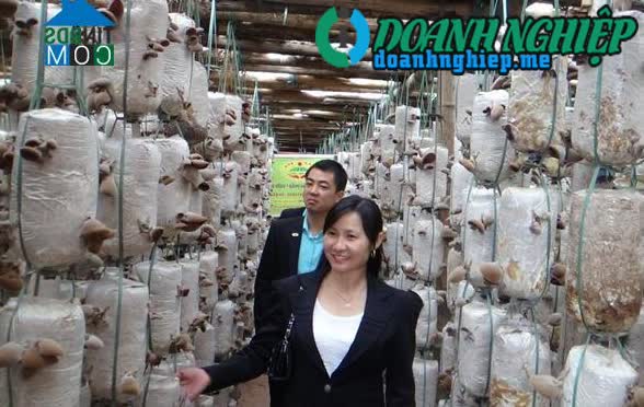 Image of List companies in Yen Nam Commune- Duy Tien Town- Ha Nam