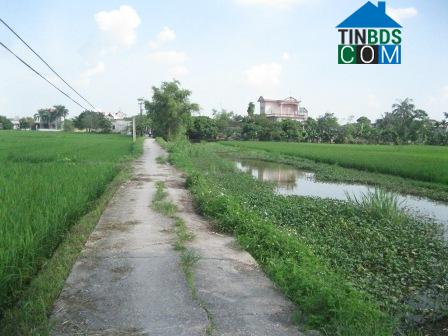 Image of List companies in Liem Phong Commune- Thanh Liem District- Ha Nam
