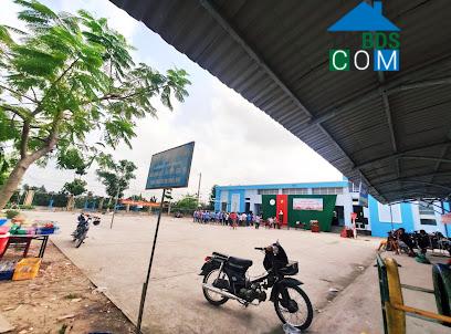 Image of List companies in An Binh A Commune- Hong Ngu District- Dong Thap