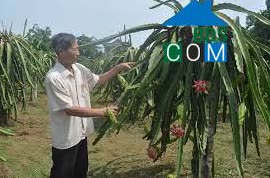 Image of List companies in Hop Thanh Commune- Hoa Binh City- Hoa Binh