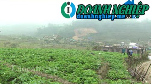 Image of List companies in Nam Sai Commune- Sa Pa Town- Lao Cai