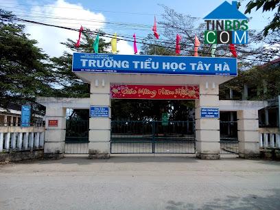 Image of List companies in Nghia Ha Commune- Quang Ngai City- Quang Ngai